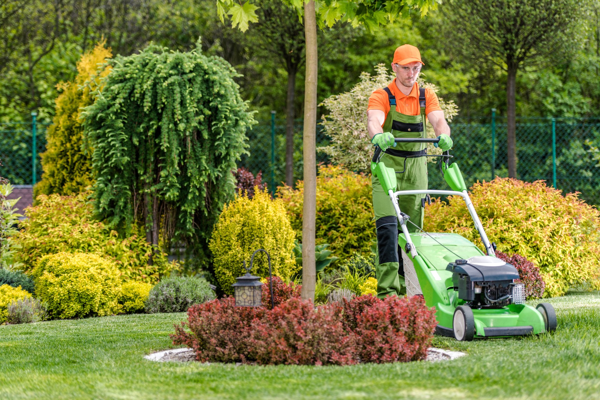 Professional Gardener Taking Care of Backyard Lawn