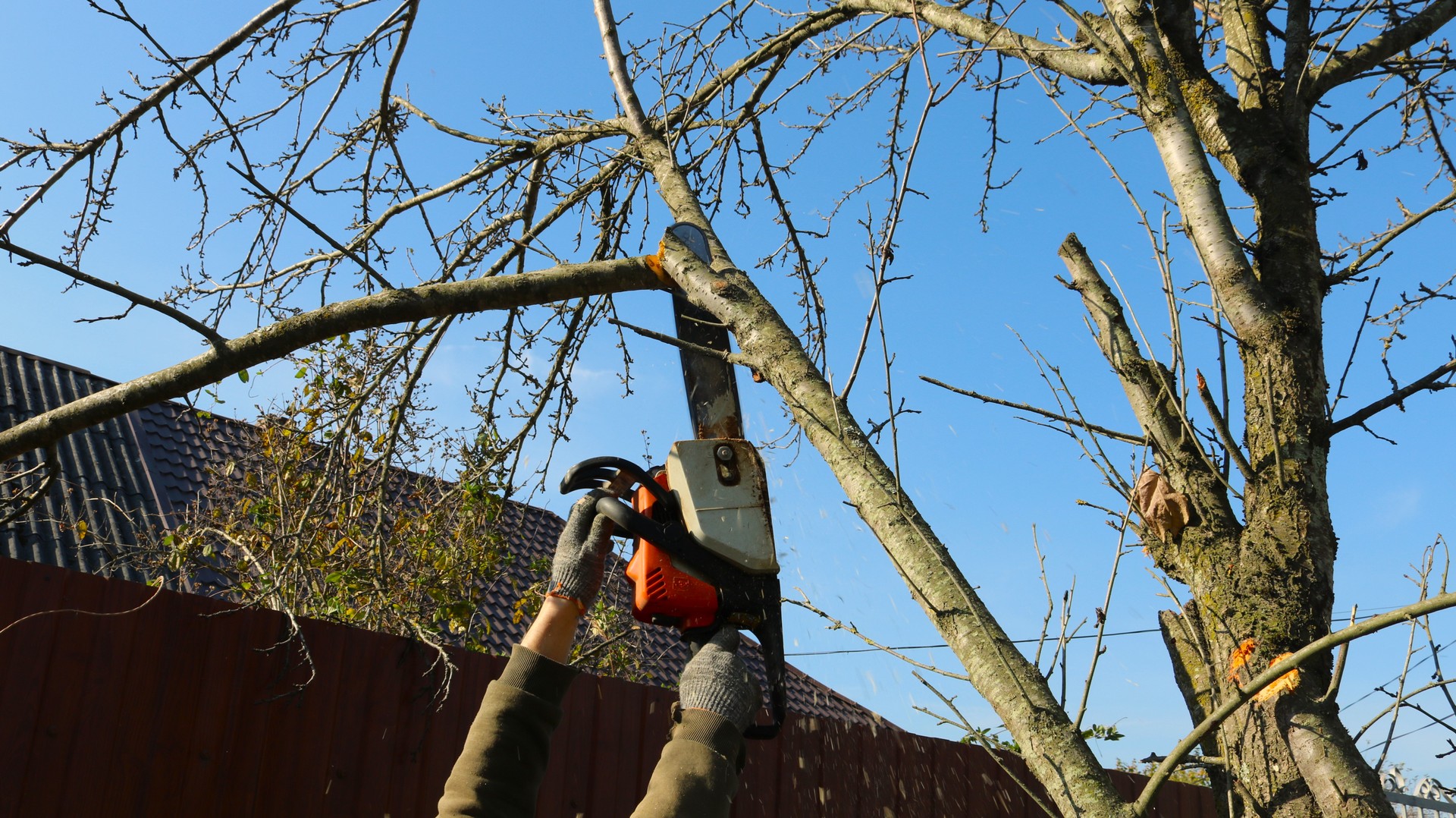 worker cutting down the crown of a tree near a house