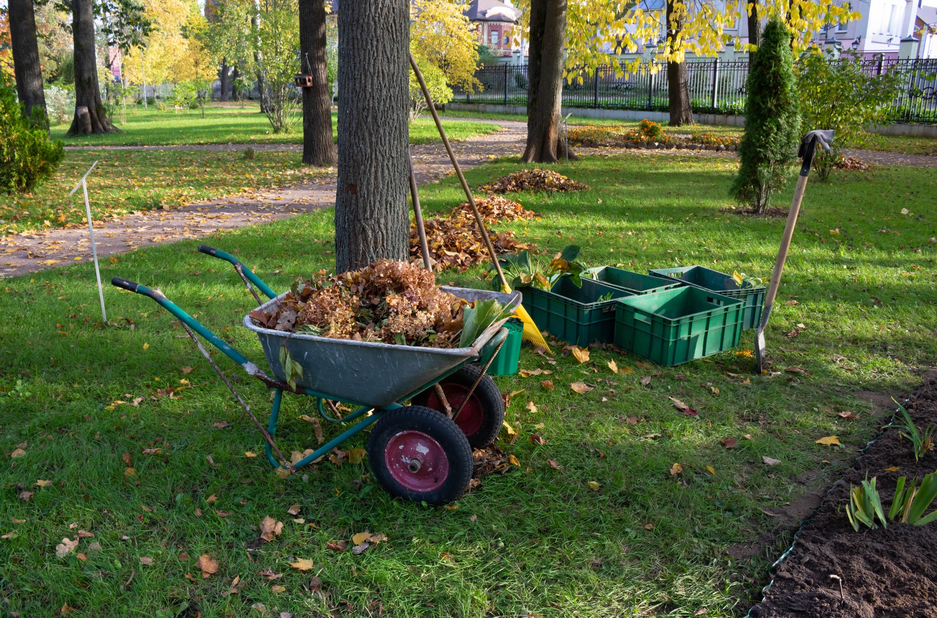 Cart, rake, containers with seedlings.Autumn leaf cleaning in the Park